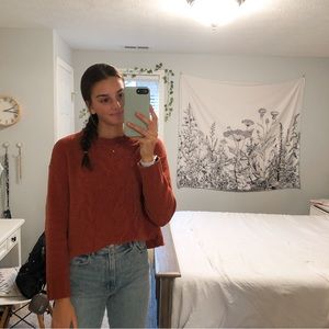 AE Coral Cable Knit Sweater